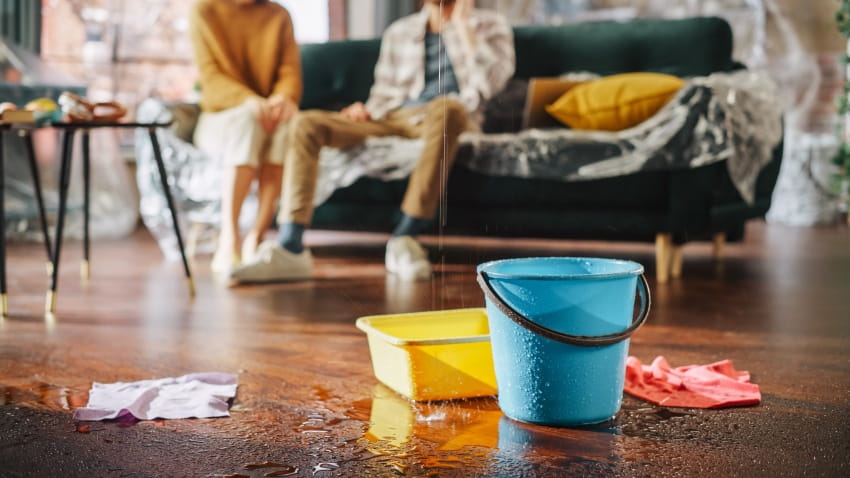 Feuchtigkeit in Immobilien - Rechte und Pflichten